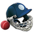 Cricket Captain 2014