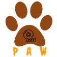 Mp3Paw - Music Downloader