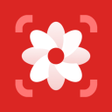 Photo Lite - Photo Editor APK