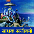 Bhagavad Gita Sadhak Sanjivani APK