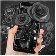 Black Rose APUS Launcher Theme APK