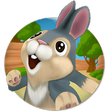 Bunny Run
