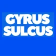 Gyrus Sulcus APK