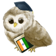 Learn Hindi APK