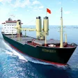 Ship Games Simulator Pro APK