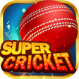 Super Cricket - Rummy APK